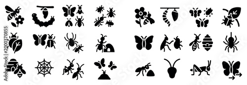 Insect icons with bee butterfly ant solid