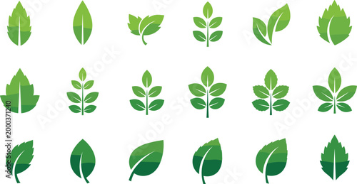 Collection of assorted green leaf icons with different shapes styles and vein details flat vector set for botanical nature and eco design projects