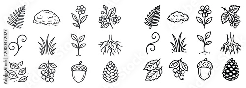 Botanical icons with leaves acorn pinecone outline