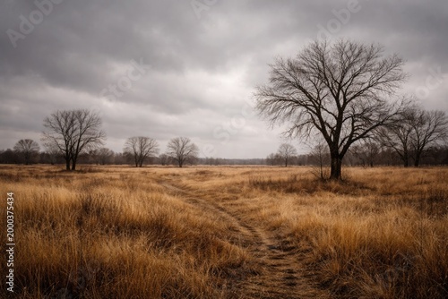 Open dry landscape showing ...