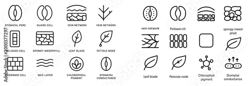 Plant icons with cells and leaf outline