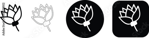 Set of lotus flower bud line art icons with various outline styles and backgrounds, real image, no blur, clear image, hd, full hd, photos, isolated white background.