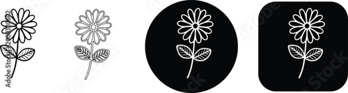 Set of zinnia flower line art icons with various outline styles and backgrounds, real image, no blur, clear image, hd, full hd, photos, isolated white background.