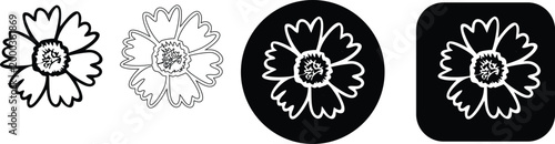 Set of daisy flower line art icons with various outline styles and backgrounds, real image, no blur, clear image, hd, full hd, photos, isolated white background.