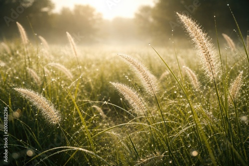 Calm nature scene featuring...