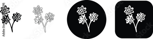 Set of forget me not flower line art icons with various outline styles and backgrounds, real image, no blur, clear image, hd, full hd, photos, isolated white background.