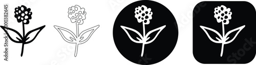 Set of hydrangea flower line art icons with various outline styles and backgrounds, real image, no blur, clear image, hd, full hd, photos, isolated white background.