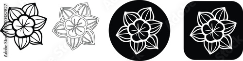 Set of plumeria flower line art icons with various outline styles and backgrounds, real image, no blur, clear image, hd, full hd, photos, isolated white background.