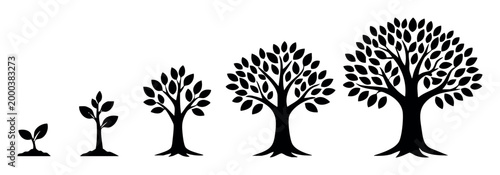 Row of black tree silhouettes depicting the development process and life cycle from a small sprout to a large, mature plant