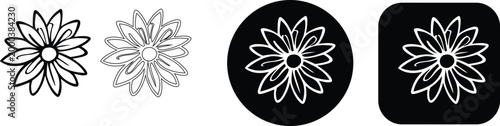 Simple aster blossom vector illustration collection featuring decorative botanical elements in black and white