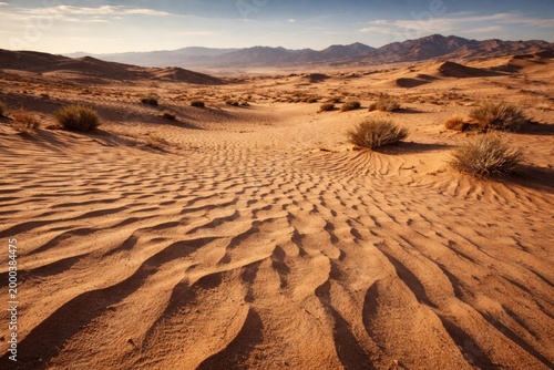 Expansive desert ground wit...