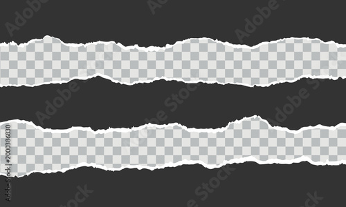 Vector horizontal torn paper edge. Ripped paper strip with soft shadow.