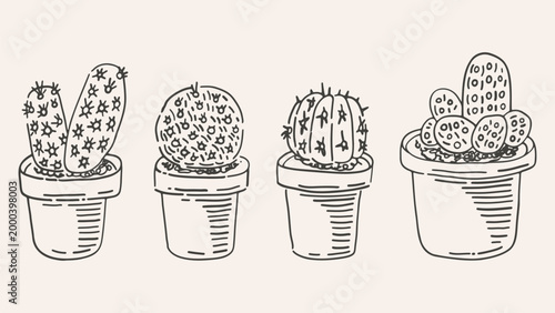 Hand drawn set of potted cactuses. Not AI