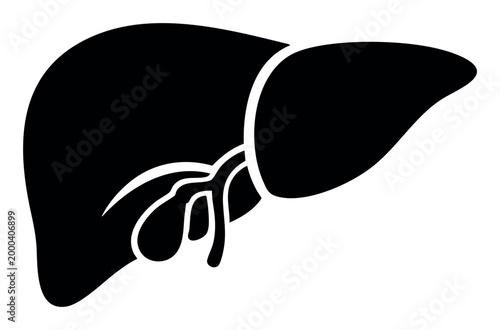 Human liver outline revealing the bile ducts and gallbladder, representing anatomy, health, and medical science