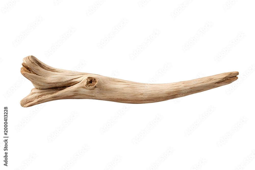 Fototapeta premium Natural Driftwood Branch Isolated on White Background 