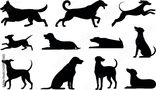 Collection of diverse dog silhouettes in various poses and breeds isolated on transparent background