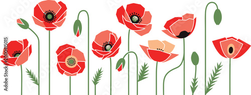 A vibrant illustration of red poppies with green stems and leaves on a white background with a delicate artistic style