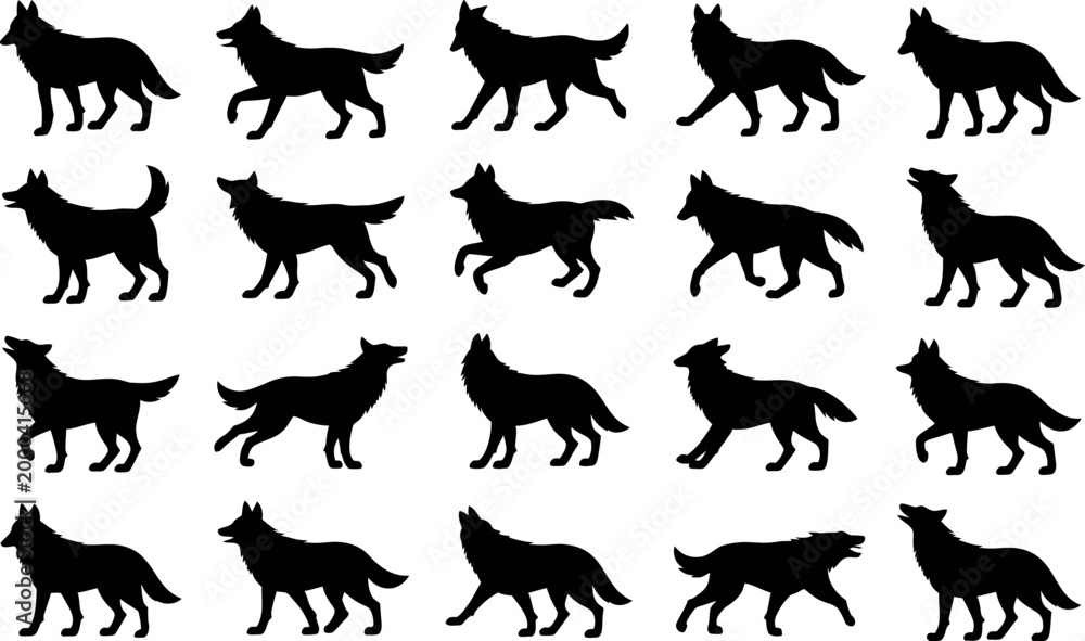 Fototapeta premium Collection of dynamic black wolf silhouettes in various running and howling poses isolated on white background