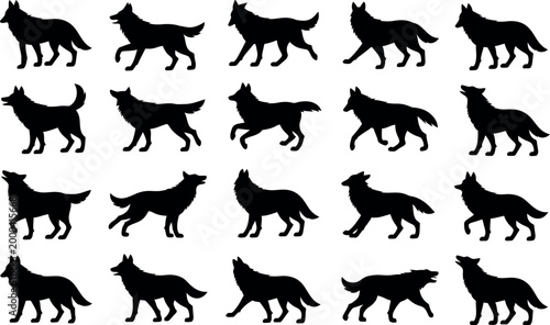 Collection of dynamic black wolf silhouettes in various running and howling poses isolated on white background