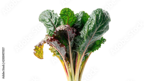 Foto Fresh chard with green leaves and stems isolated on transparent background