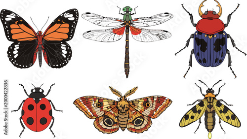 Detailed Insect Illustrations Set with Butterfly and Beetle.eps