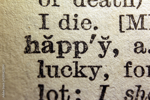 Cuadro en lienzo Word happy on dictionary page, macro close up