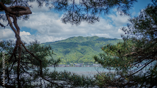 A hill seen through foliage near Amanohashidate, Japan