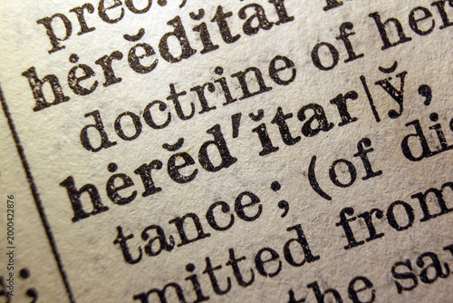 Canvastavla Word hereditary on dictionary page, macro close up