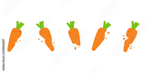Set of Bitten Orange Carrots Illustration on White Background