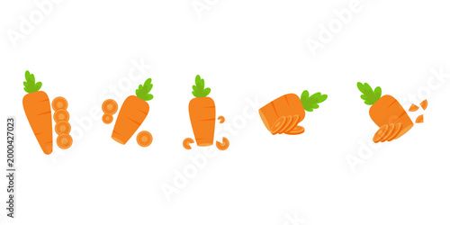 Set of Fresh Carrot Illustrations and Sliced Pieces