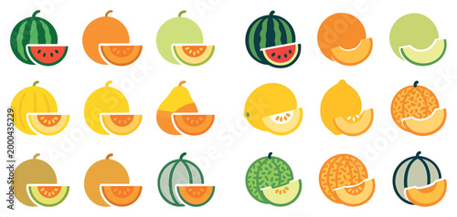 Fruit icons with watermelon cantaloupe honeydew flat colorful