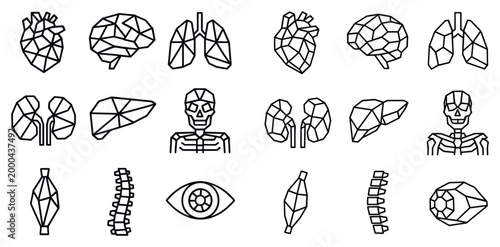 Medical icons with heart brain lungs geometric