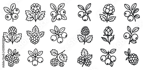 Berry icons with leaf raspberry blueberry outline minimal