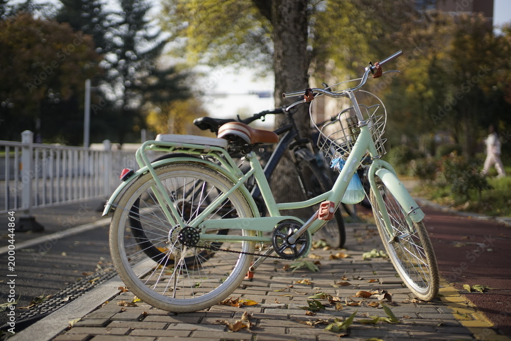 Fototapeta premium bicycles in the park