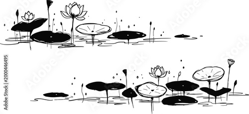 Fotografia Black and white lotus flowers, lily pads, vector illustration, minimalist botani