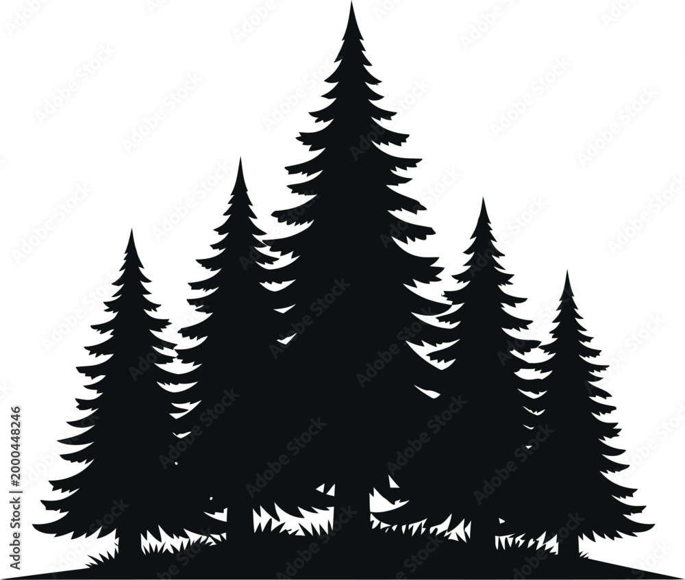 Obraz premium Silhouetted pine trees a minimalist forest landscape in black and white