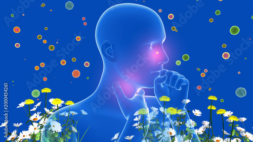 Quadro su tela 3D illustration of a human figure highlighting the upper respiratory system (ENT)
