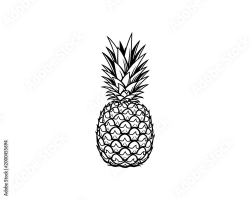 hand drawn black and white pineapple illustration isolated on white background