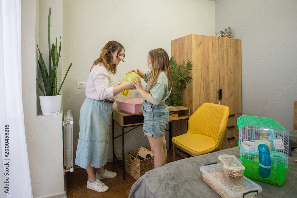 Fototapeta premium Mom and daughter are working together to set up a pet enclosure in a bedroom. One girl holds a yellow item above her head while the other watches closely.