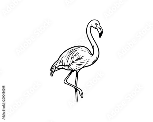 minimalist line art of elegant flamingo standing on one leg isolated on white background