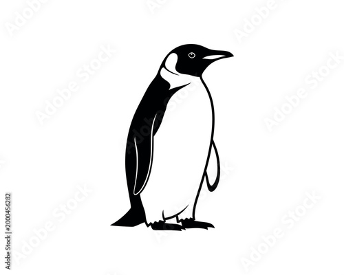 Minimalist black and white penguin illustration on white background for design and education