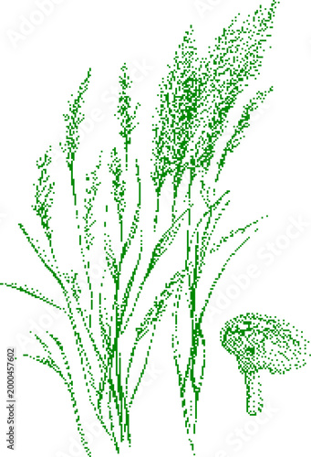 Green grass seed heads with detailed botanical a mushroom for agriculture or nature concepts