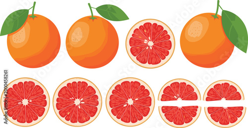 Fresh Grapefruit Vector Set with Whole Citrus Fruits and Sliced Pieces with Leaves Isolated on White Background for Healthy Food and Juice Design.