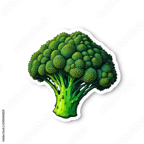A vibrant and detailed illustration of a fresh and healthy green broccoli vegetable