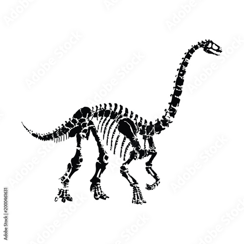 black and white illustration of a hand drawn dinosaur skeleton in grunge style, vintage art vector