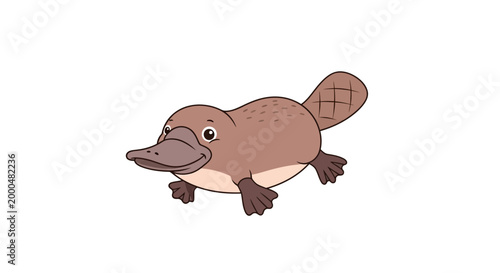 vector illustration of a flat-style platypus