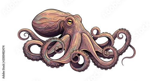 Vector illustration of a flat-style octopus