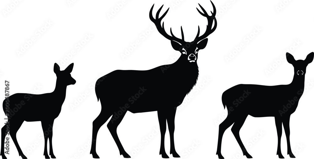 Fototapeta premium Deer Family Silhouette Vector Set with Majestic Stag, Doe, and Fawn, Wildlife Animal Collection for Nature Design