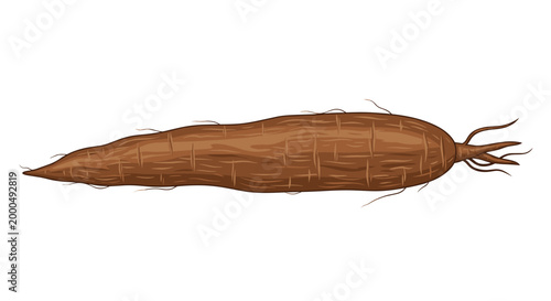 Elongated brown cassava root with a tapered shape and fine roots, showcasing a starchy tuber staple in many tropical regions.