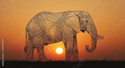 A majestic African elephant silhouette features a unique topographical contour line pattern against a vibrant orange savanna sunset. This artistic wildlife illustration blends nature with modern graph